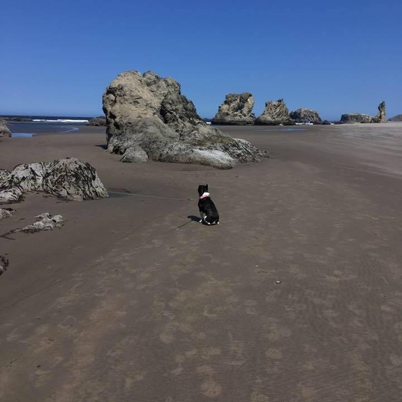 Meet your Posher, Stephen - Picture 1 of 1